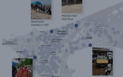 Feed the Future Senegal and Premise Crowdsource Food Safety Market Assessment